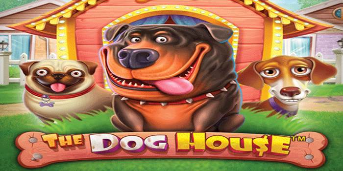 Trik Menghindari Kekalahan Beruntun Di Slot The Dog House